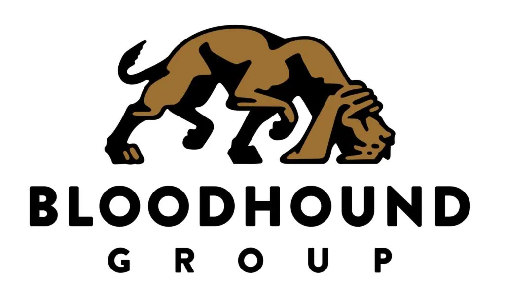 Bloodhound group logo scaled 1