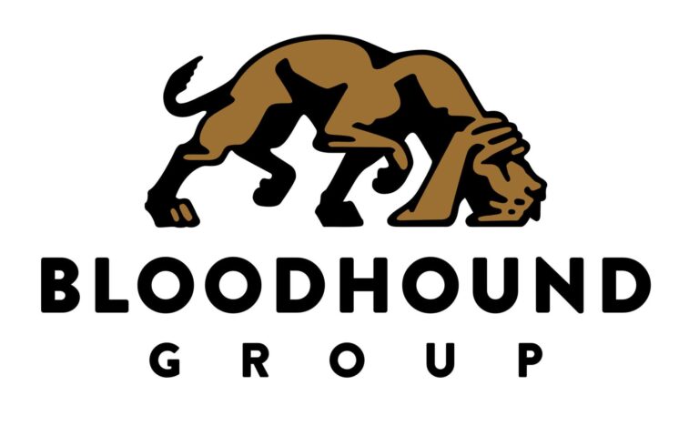 Bloodhound group logo scaled 2