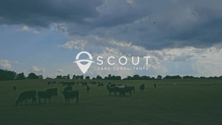 Scout land consultants
