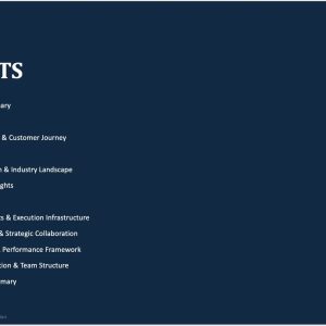 FireSolv marketing strategy