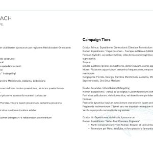 King of the beach marketing strategy