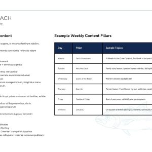 King of the beach marketing strategy