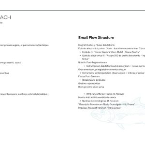 King of the beach marketing strategy