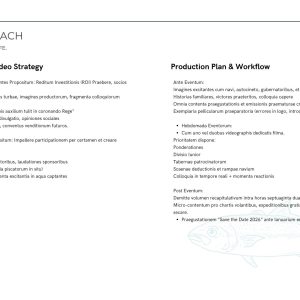 King of the beach marketing strategy