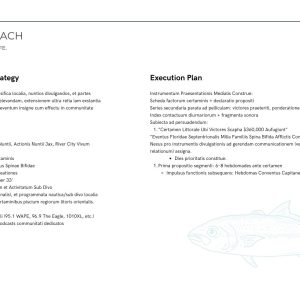 King of the beach marketing strategy