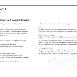 King of the beach marketing strategy