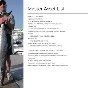 King of the beach marketing strategy