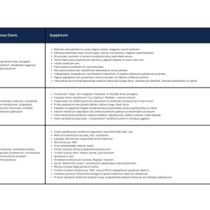 King of the beach marketing strategy