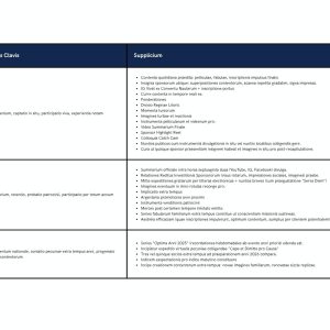 King of the beach marketing strategy