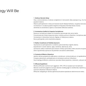 King of the beach marketing strategy