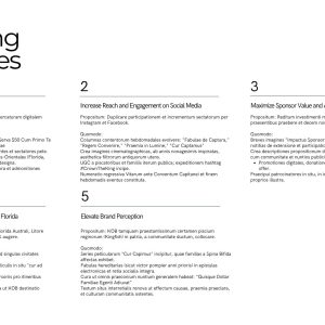 King of the beach marketing strategy